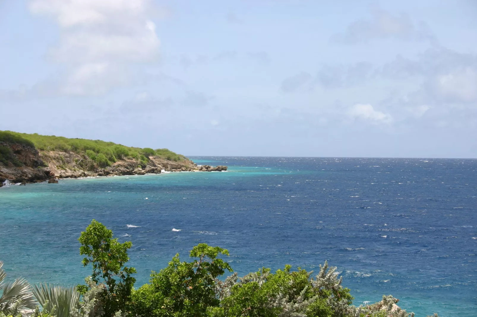 Dolphin View Mambo Beach-Gebieden zomer 5km