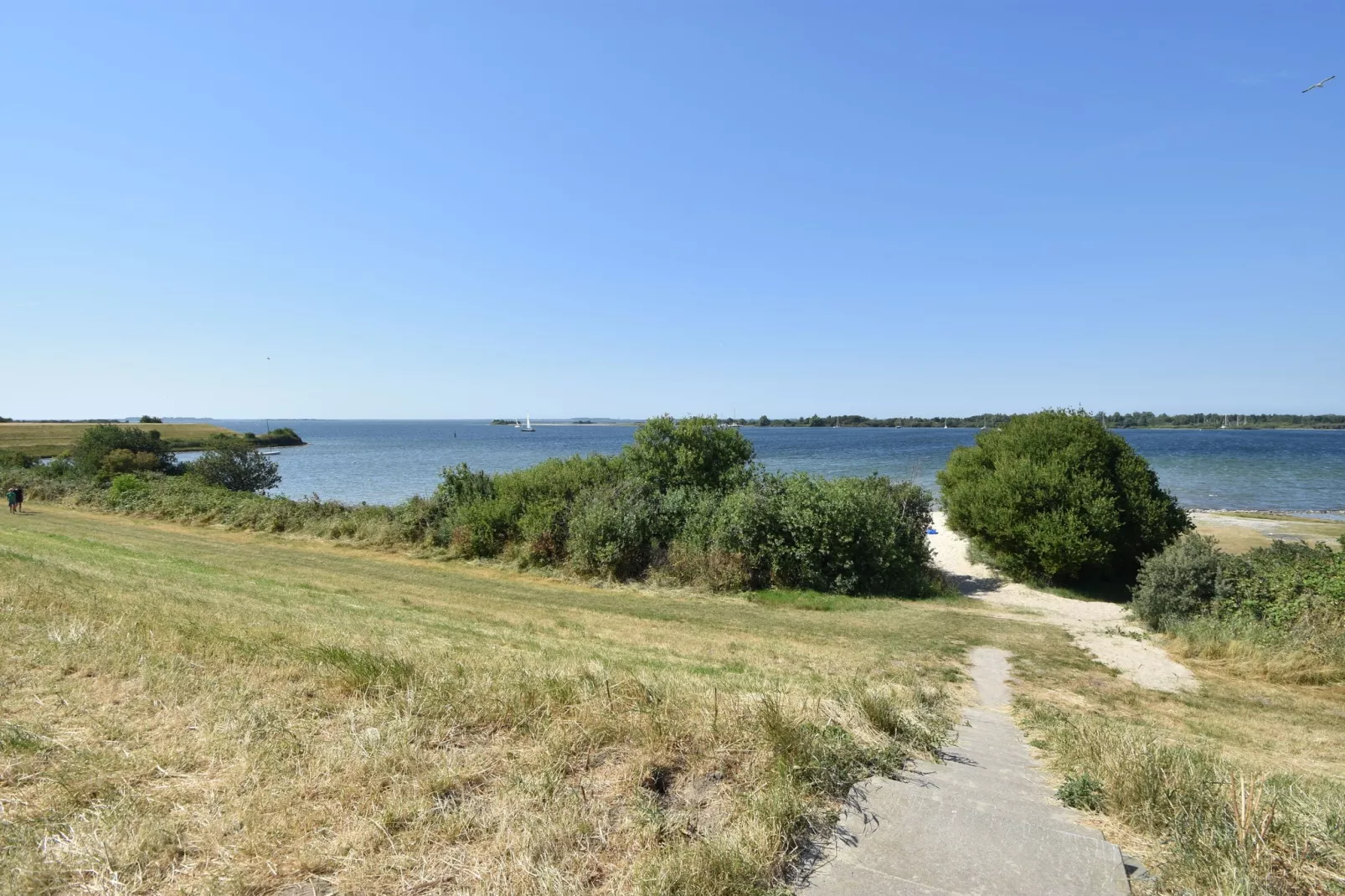 Het Karreveld-Gebieden zomer 1km