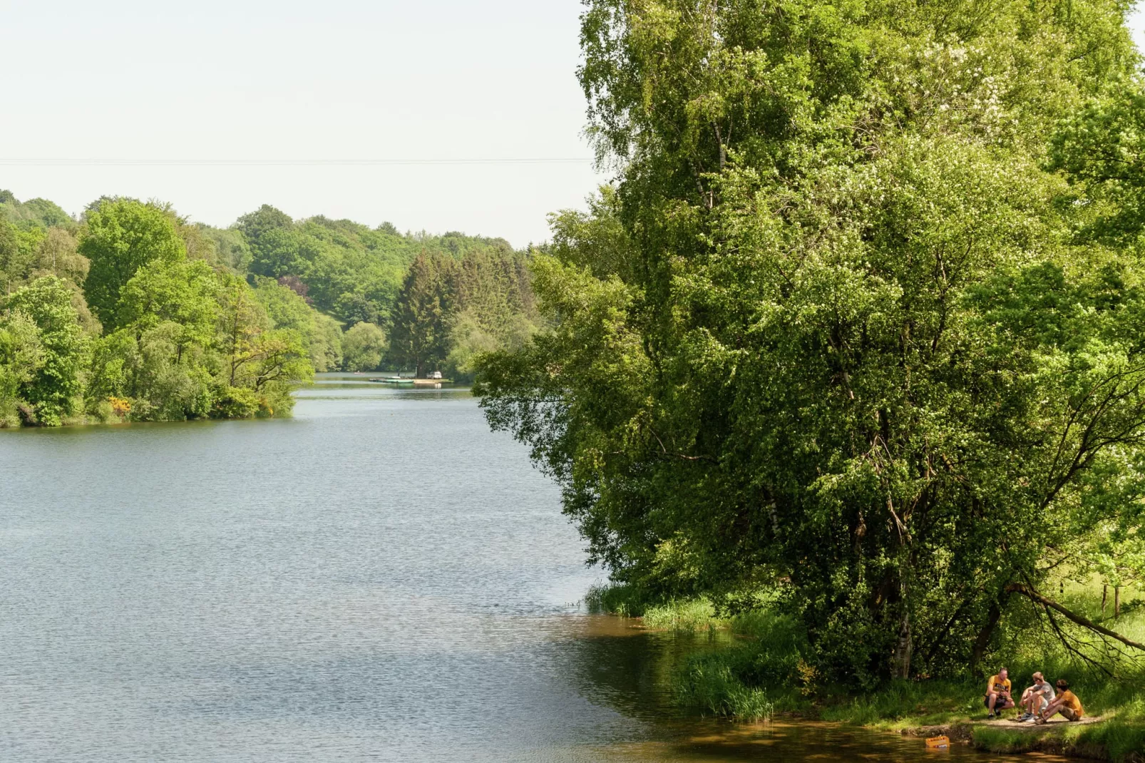 Domaine des Bouts de Fagnes-Gebieden zomer 5km