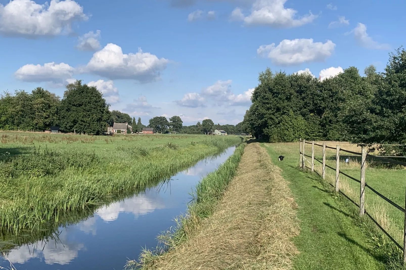 Ganzenmars-Gebieden zomer 20km