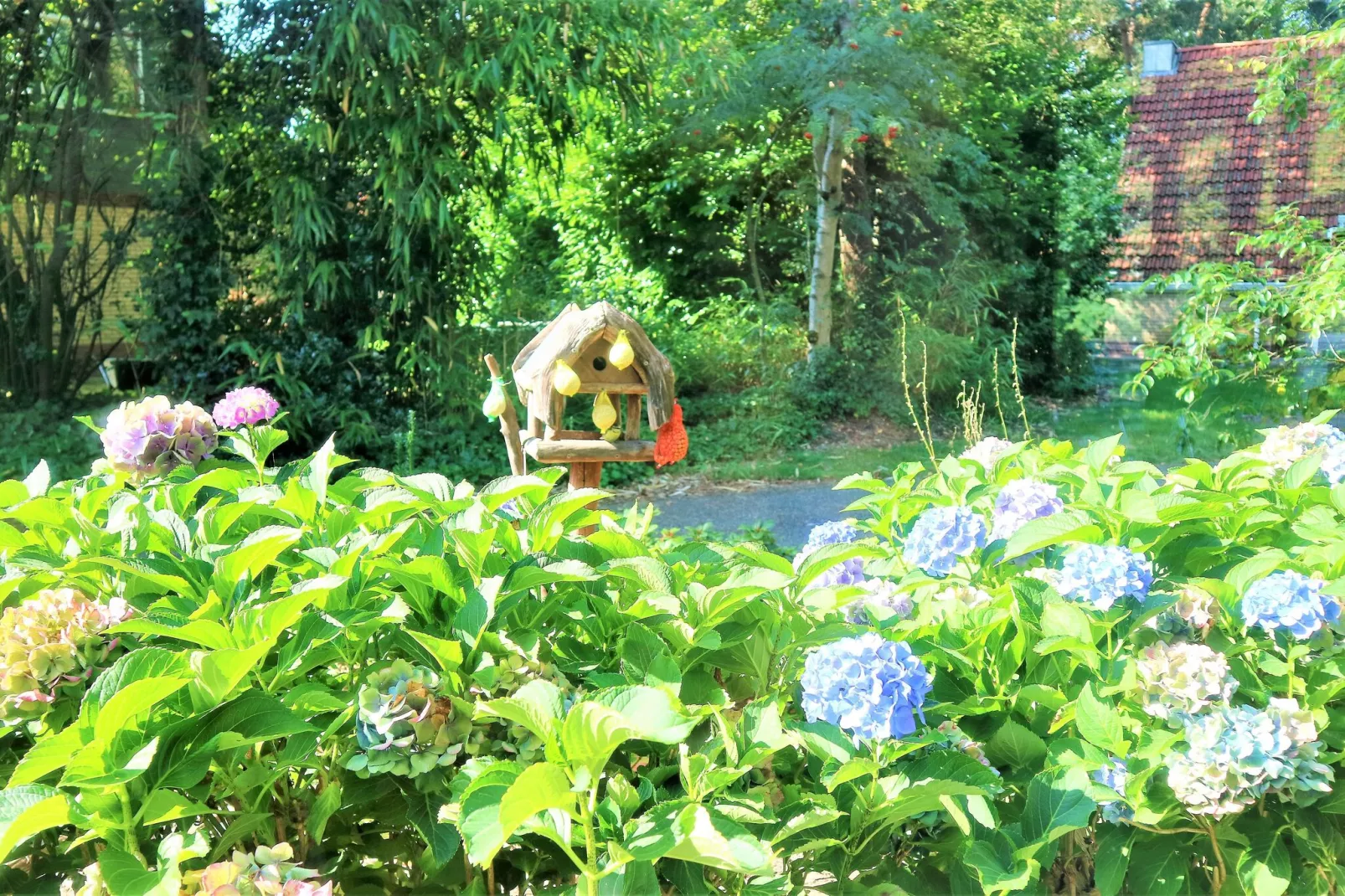 Buitenplaats Berg en Bos nr 50-Uitzicht zomer