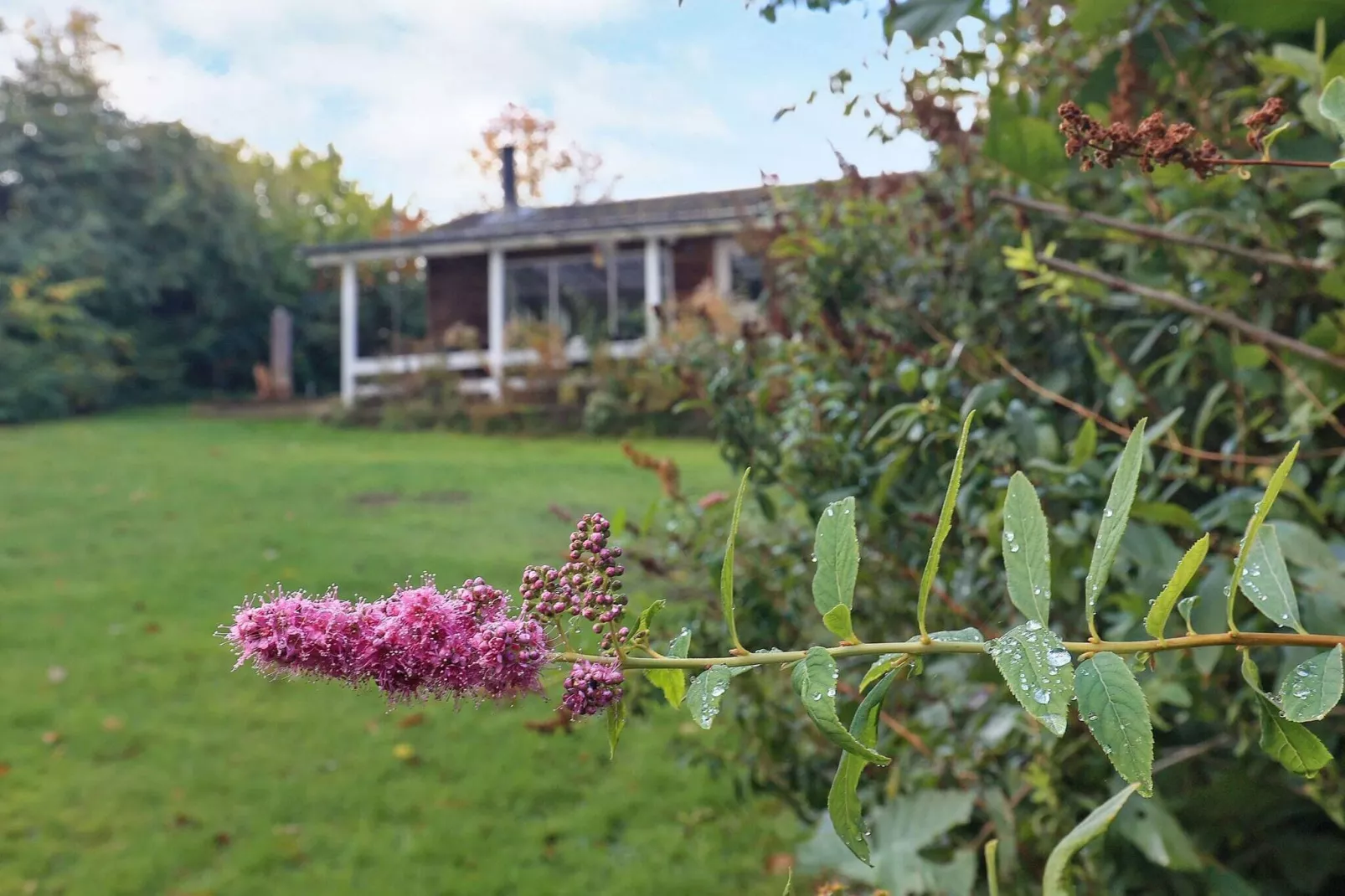 4 persoons vakantie huis in Mesinge-Uitzicht