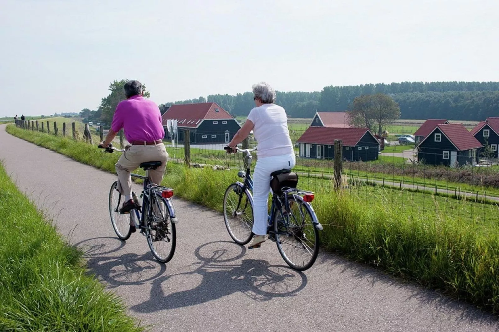 Recreatiepark de Stelhoeve 2-Gebieden zomer 1km