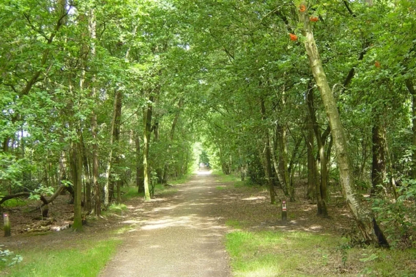 Recreatiepark de Stelhoeve 2-Gebieden zomer 5km