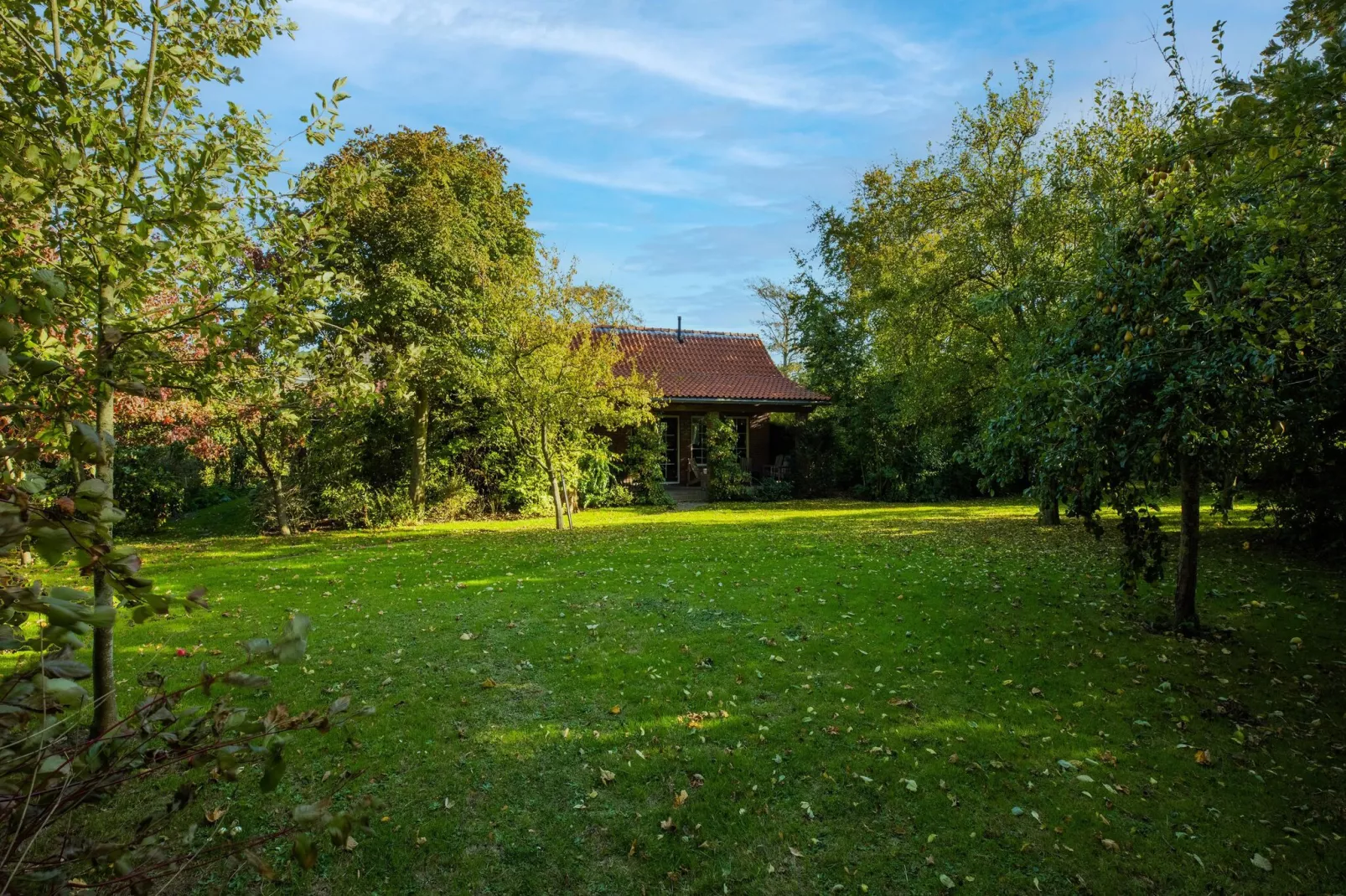 Vakantiewoning Wijnaldum-Tuinen zomer