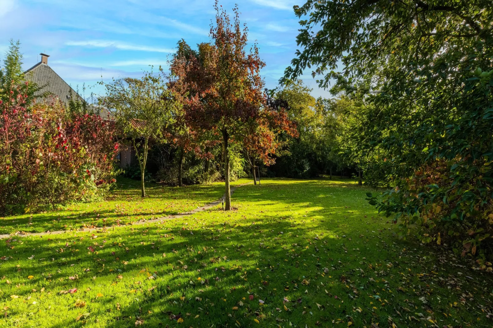 Vakantiewoning Wijnaldum-Tuinen zomer