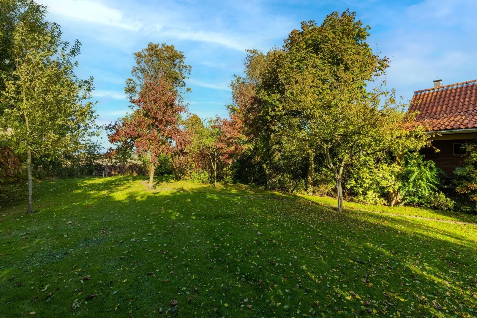 Vakantiewoning Wijnaldum-Tuinen zomer