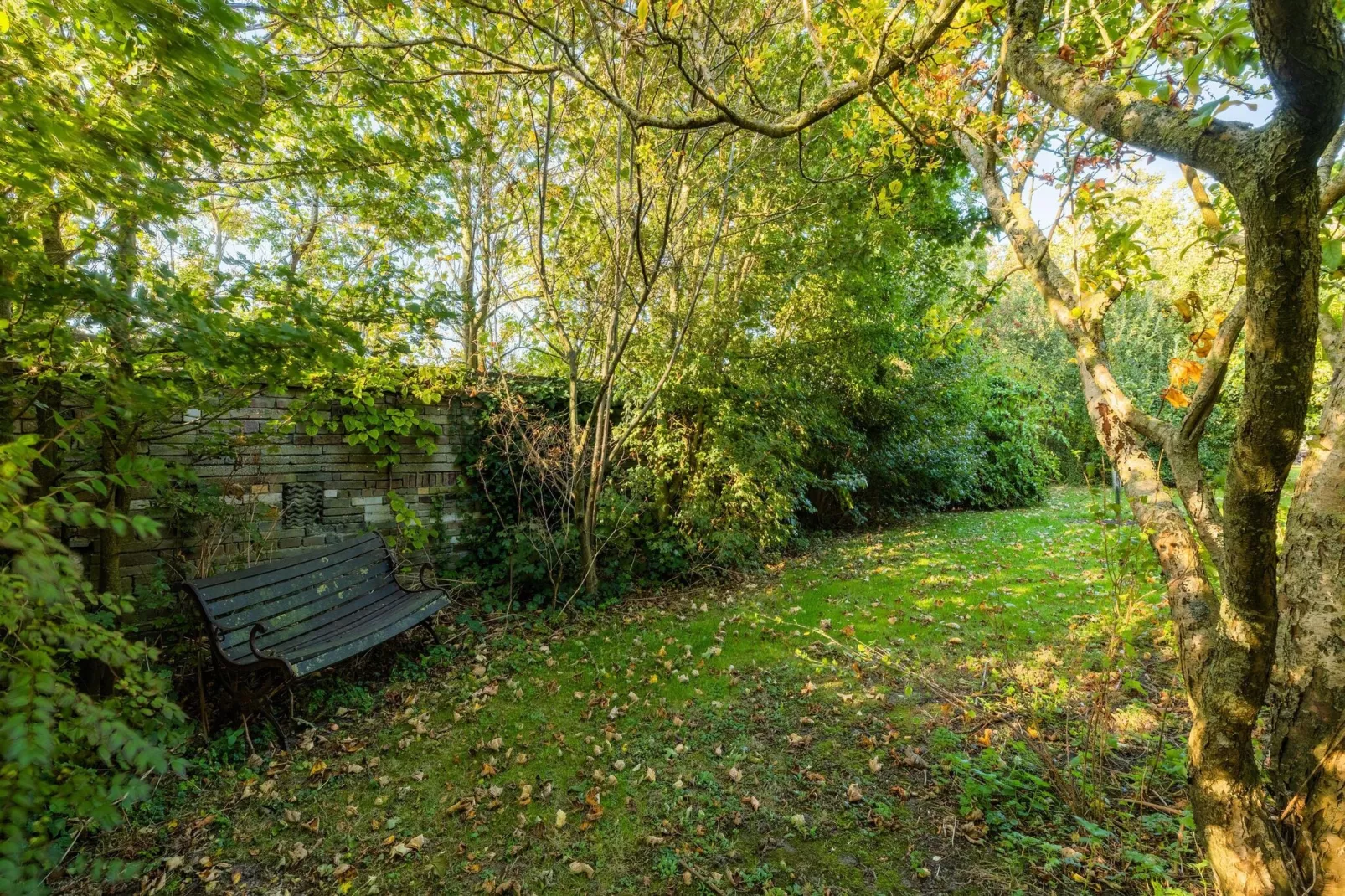 Vakantiewoning Wijnaldum-Tuinen zomer