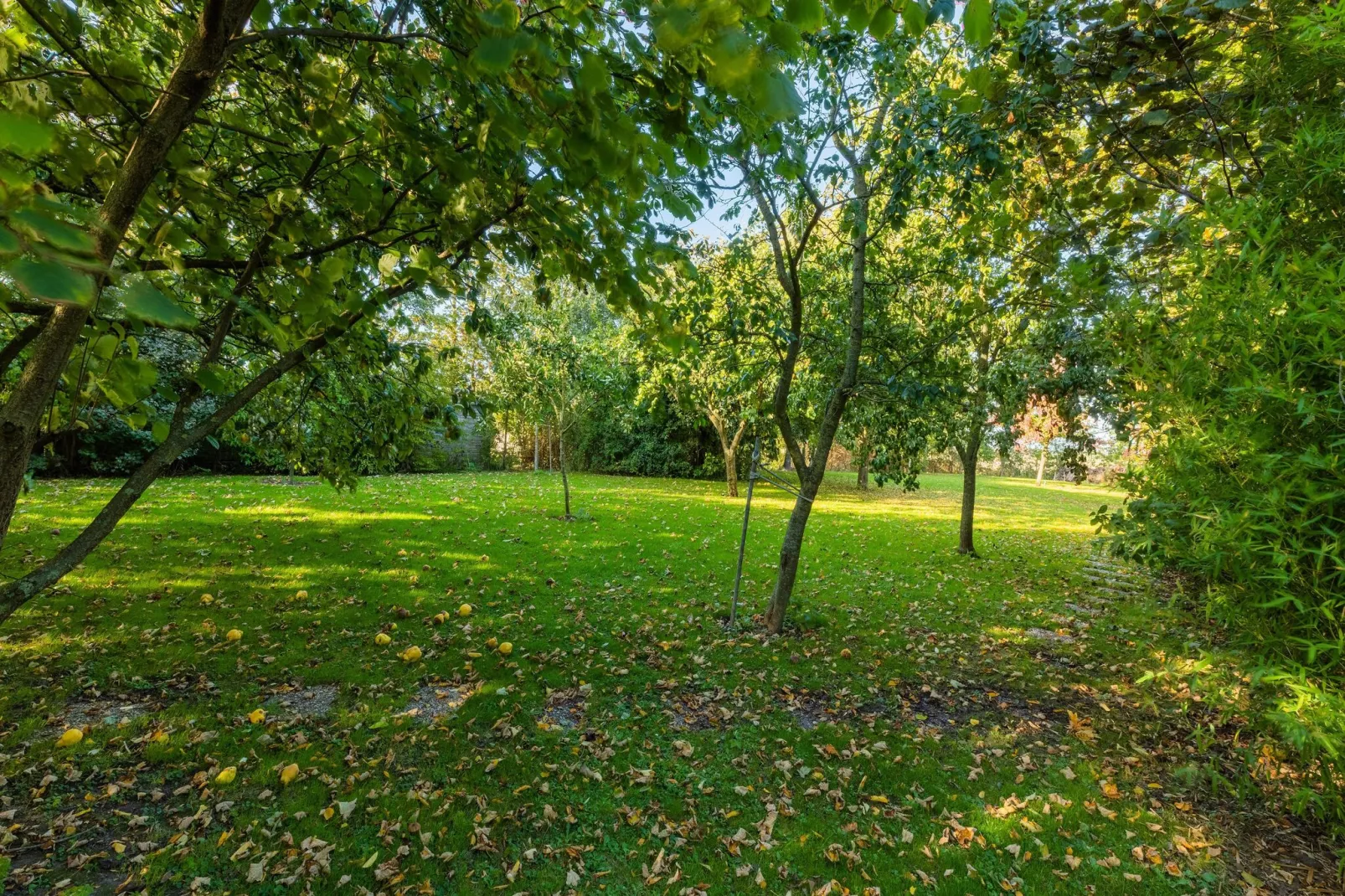 Vakantiewoning Wijnaldum-Tuinen zomer