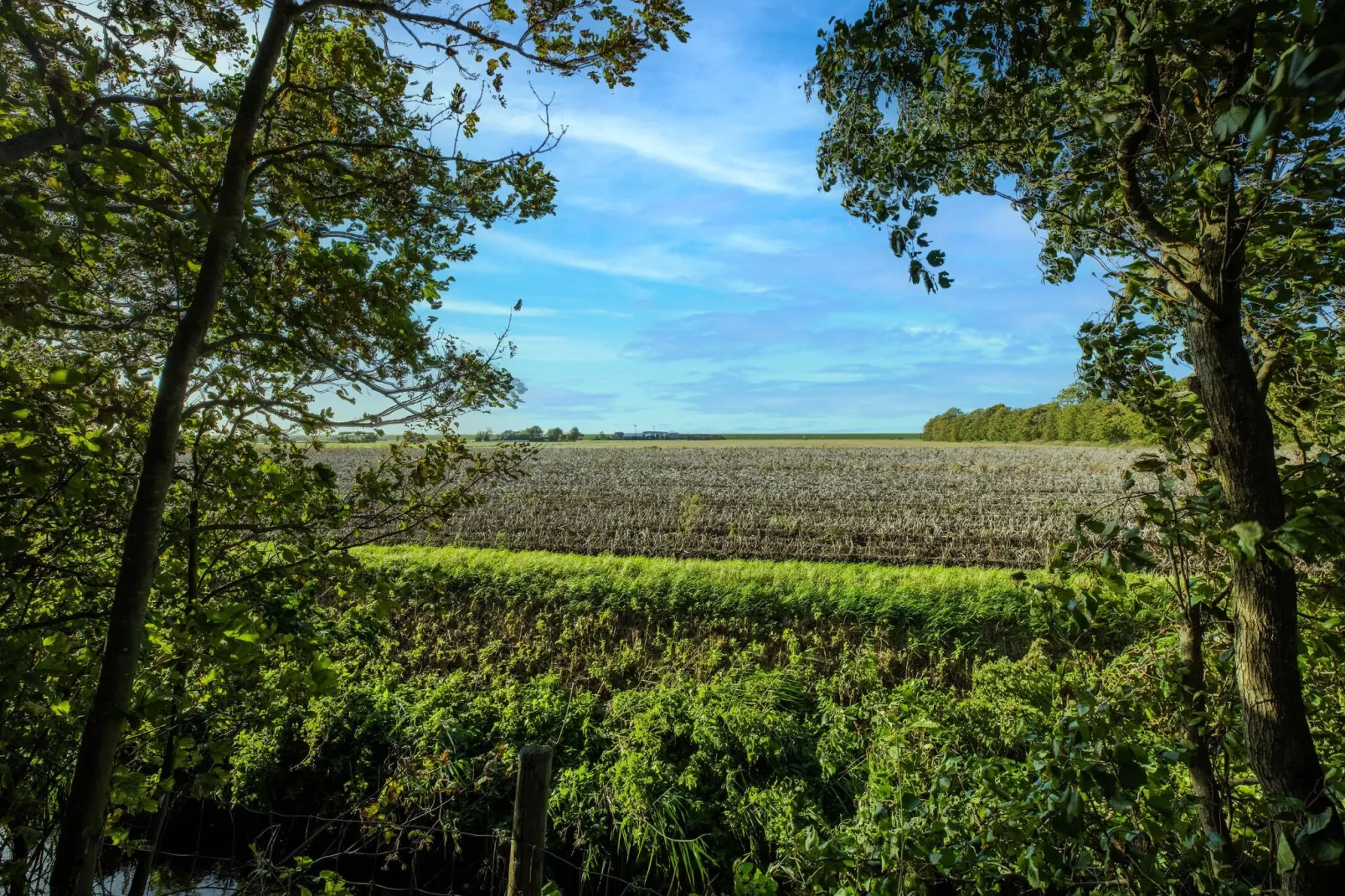 Vakantiewoning Wijnaldum-Gebieden zomer 1km