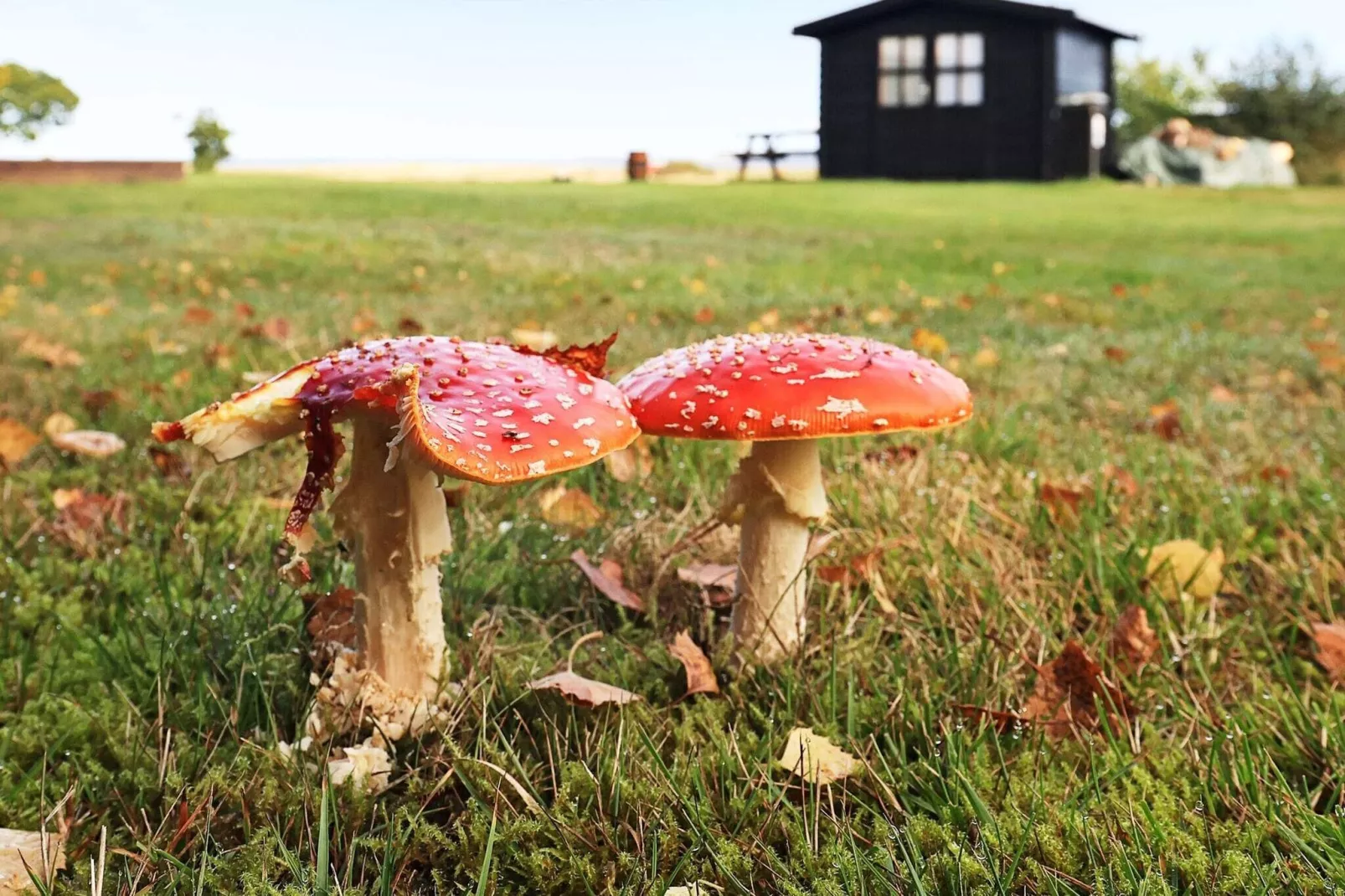 6 persoons vakantie huis in Højslev-By Traum-Buitenlucht