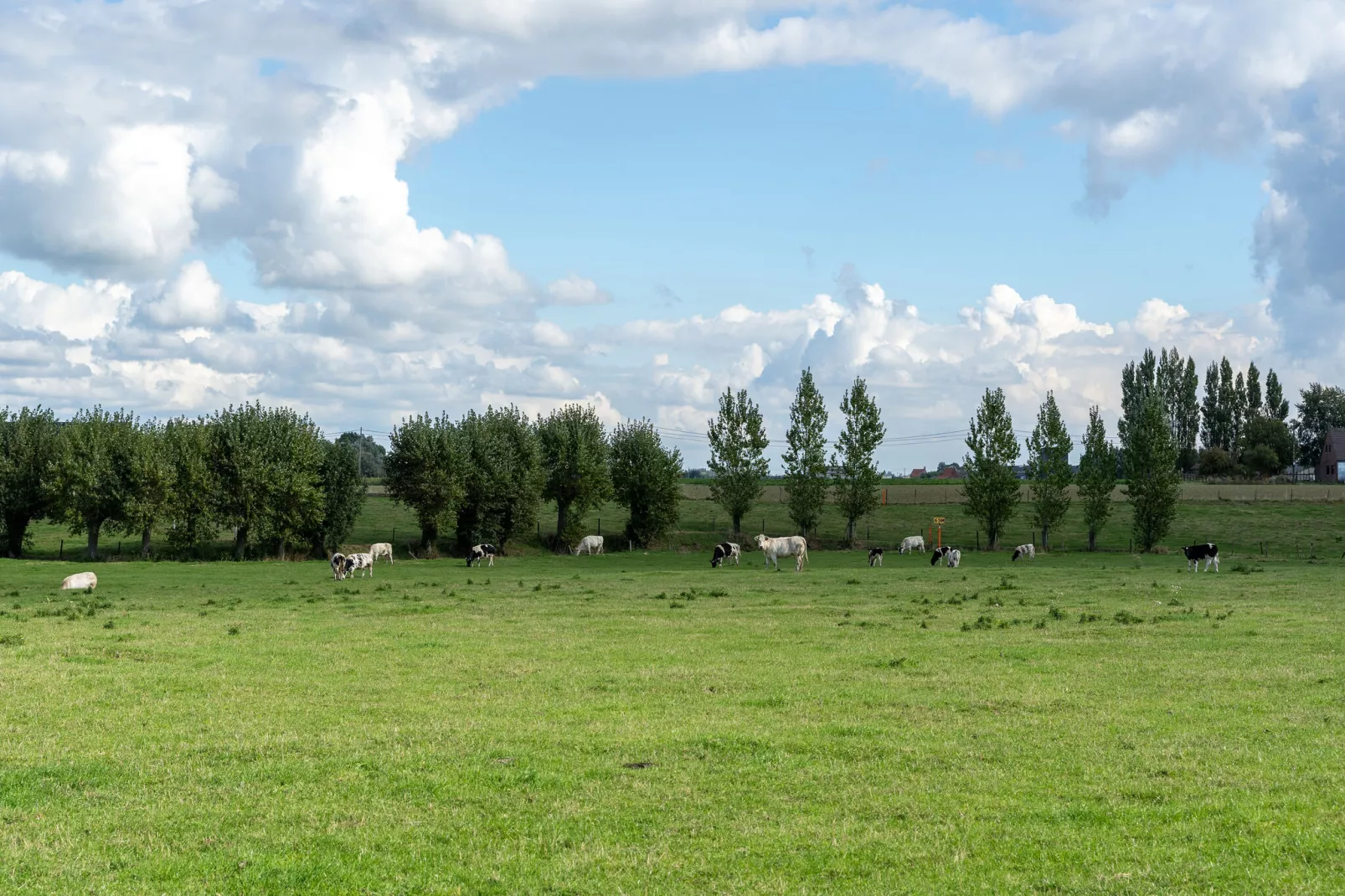 De Korte Lindehoeve-Gebieden zomer 5km