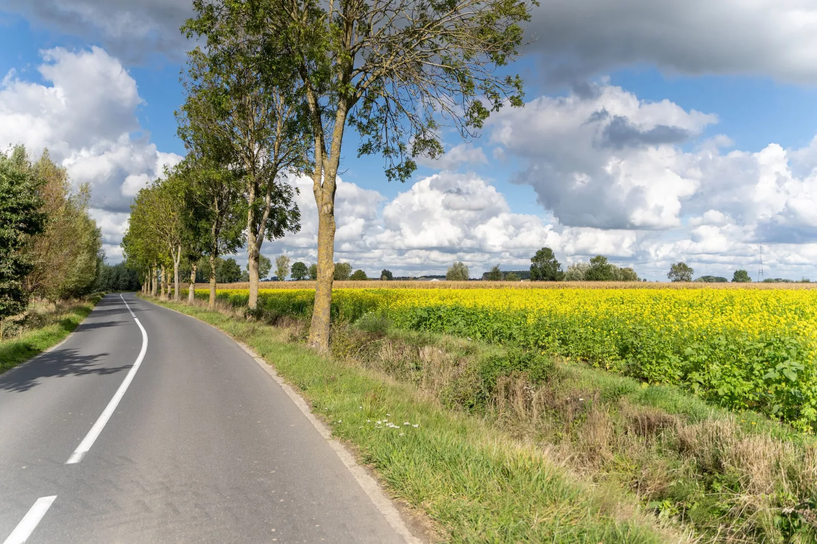 De Korte Lindehoeve-Gebieden zomer 5km