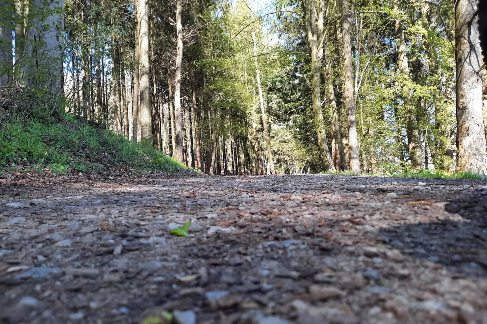 Eslohe-Gebieden zomer 20km