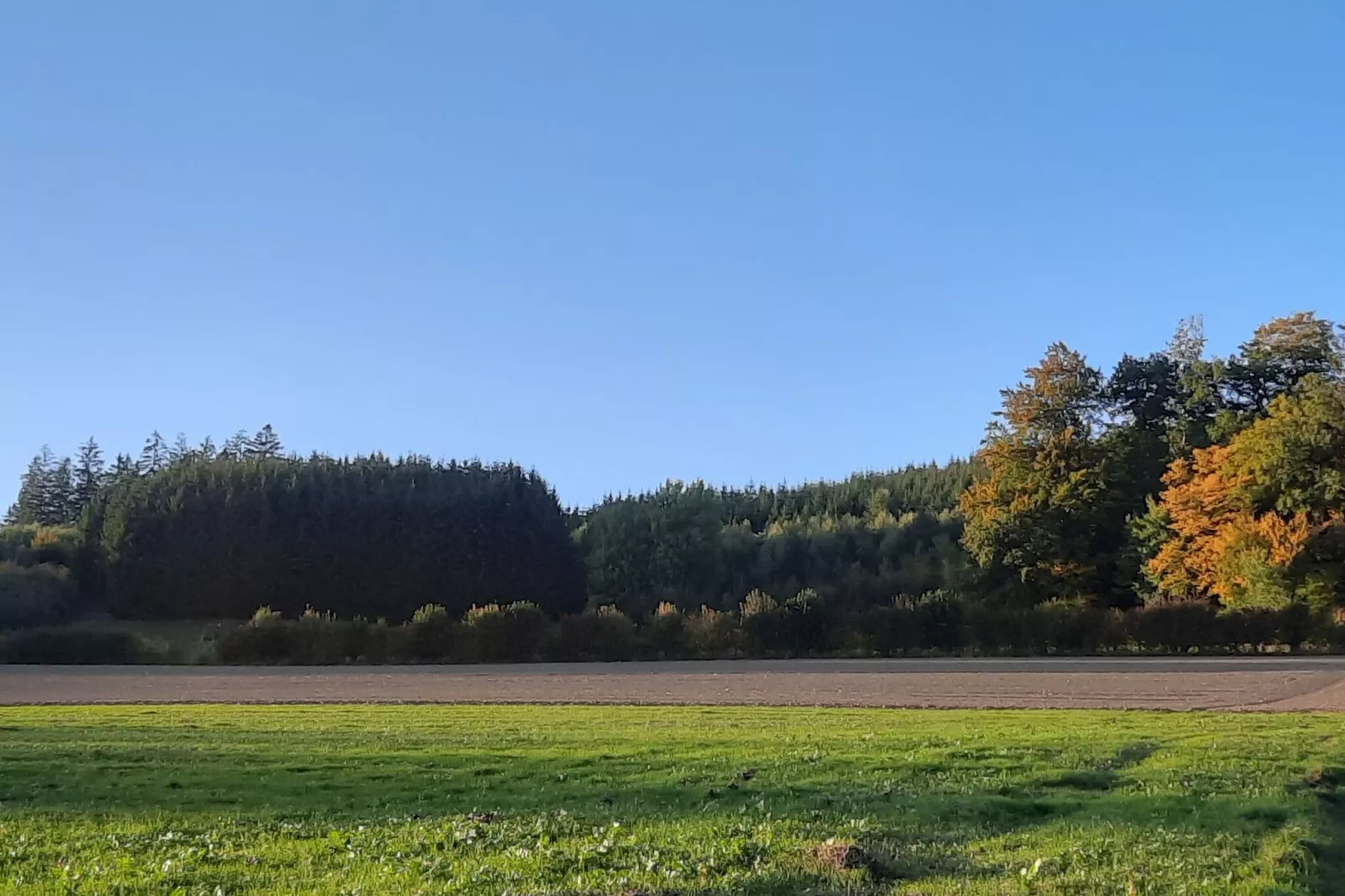 Eslohe-Gebieden zomer 20km