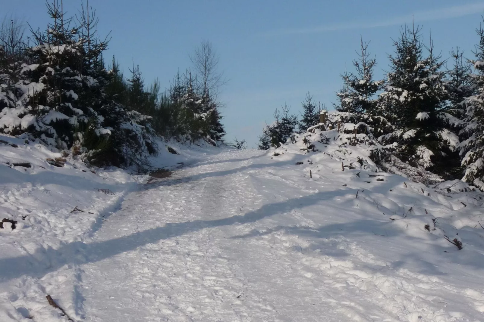 Eslohe-Gebied winter 20km