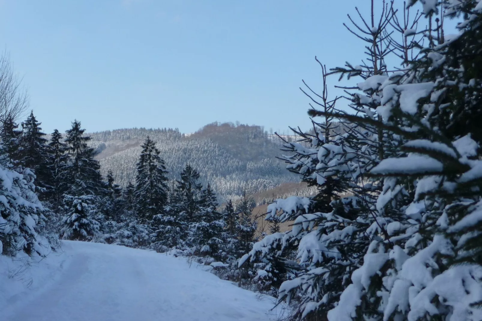 Eslohe-Gebied winter 20km