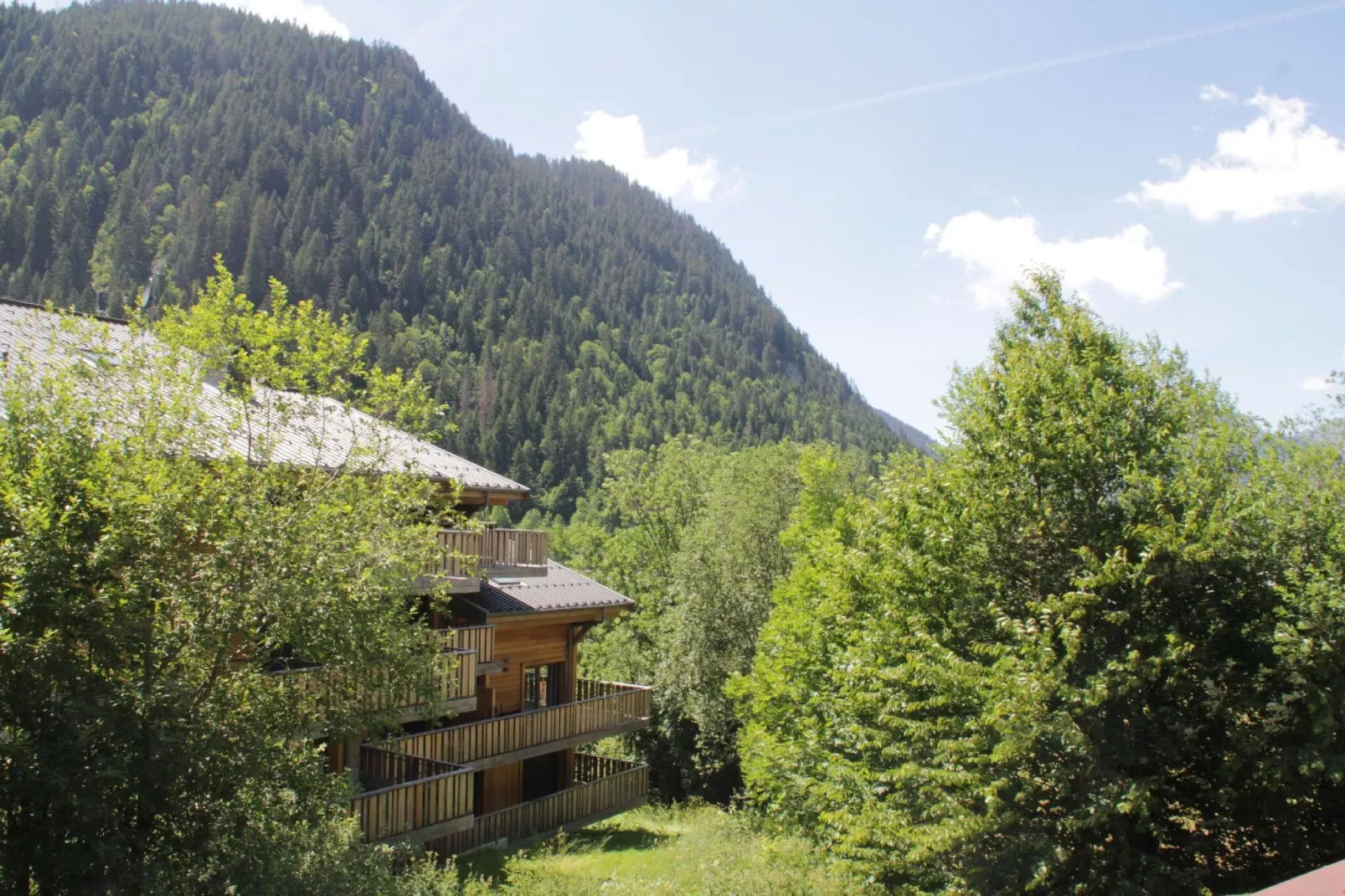 Moderne vakantiehuis in Châtel met balkon-Gebieden zomer 1km