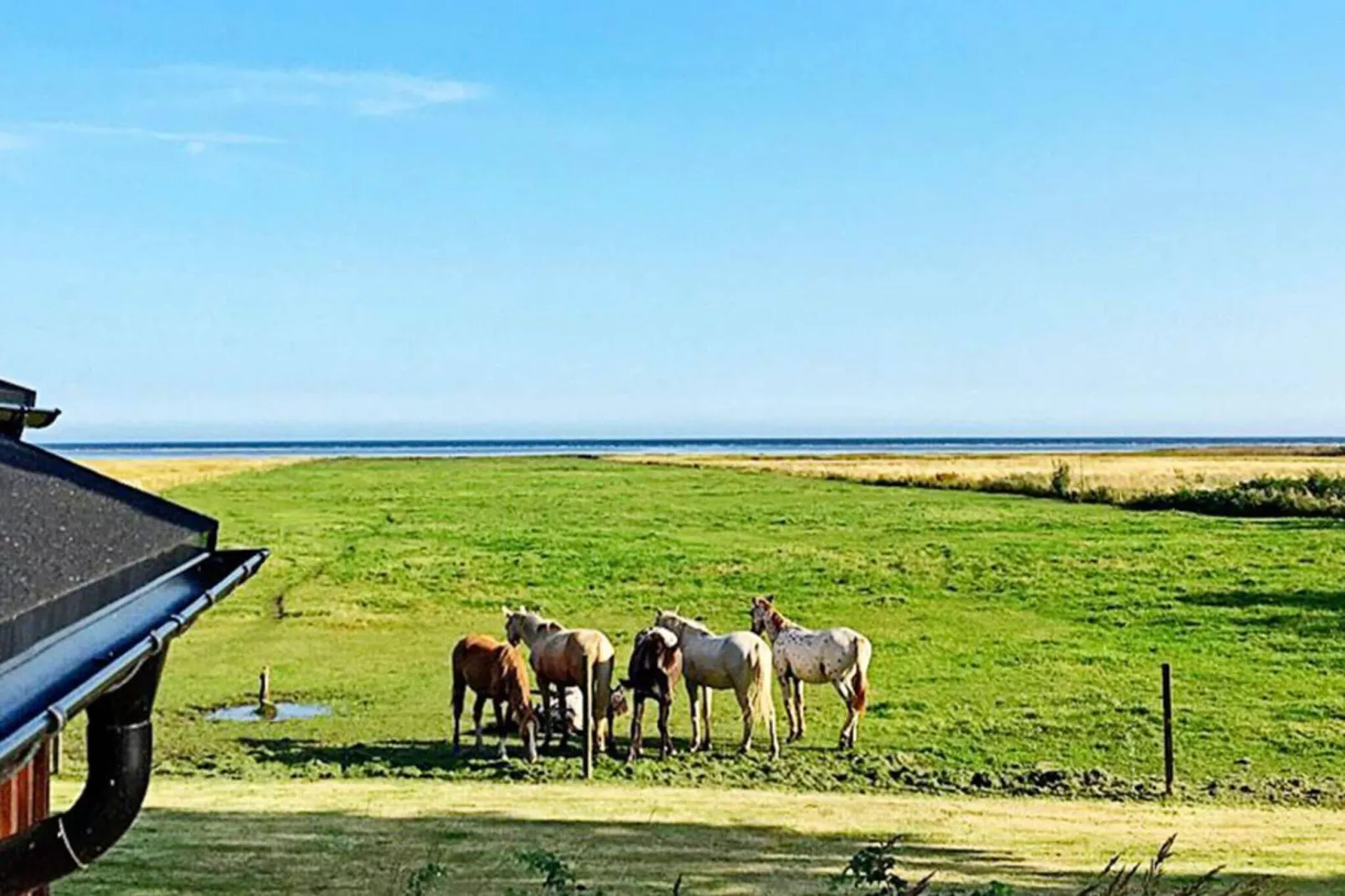 4 sterren vakantie huis in Sæby-Uitzicht