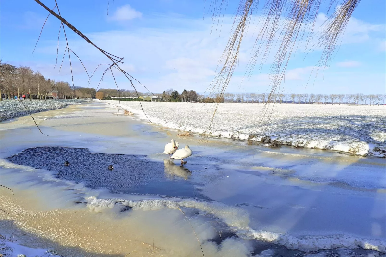 Edammer Vissershuisje-Gebied winter 20km