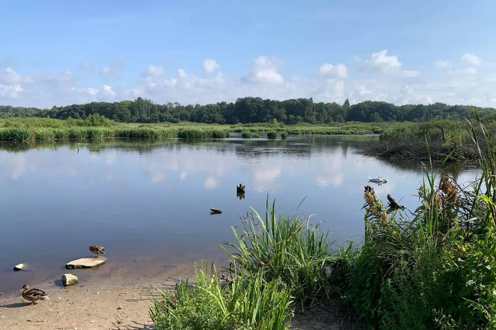 Całoroczny nowy domek dla 2 osób Ustronie Morskie-Gebieden zomer 5km