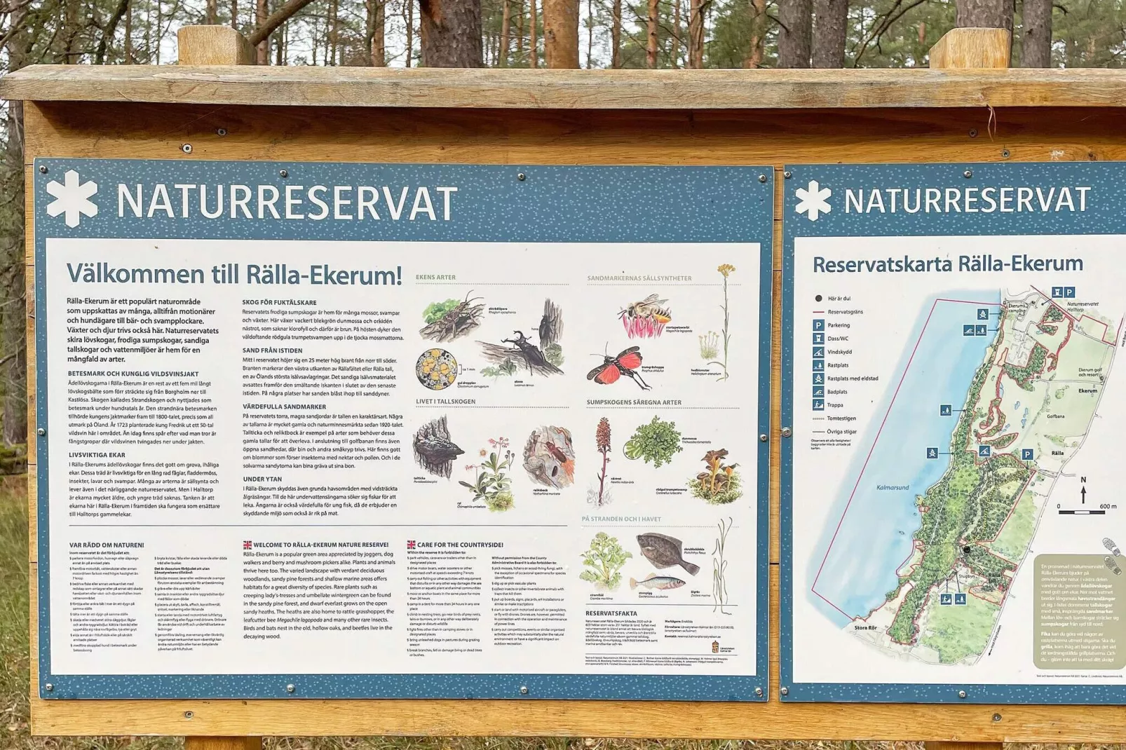 4 persoons vakantie huis in BORGHOLM-By Traum-Niet-getagd