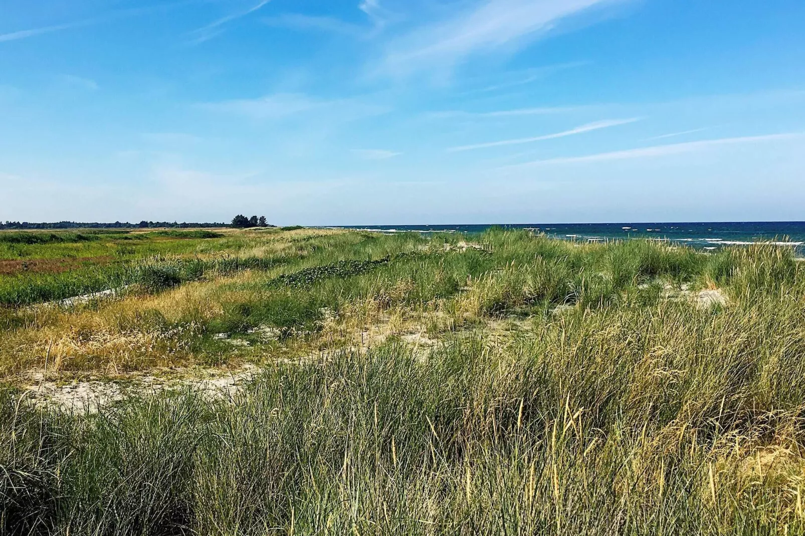 Kustsereniteit in LyngsAY-By Traum-Uitzicht