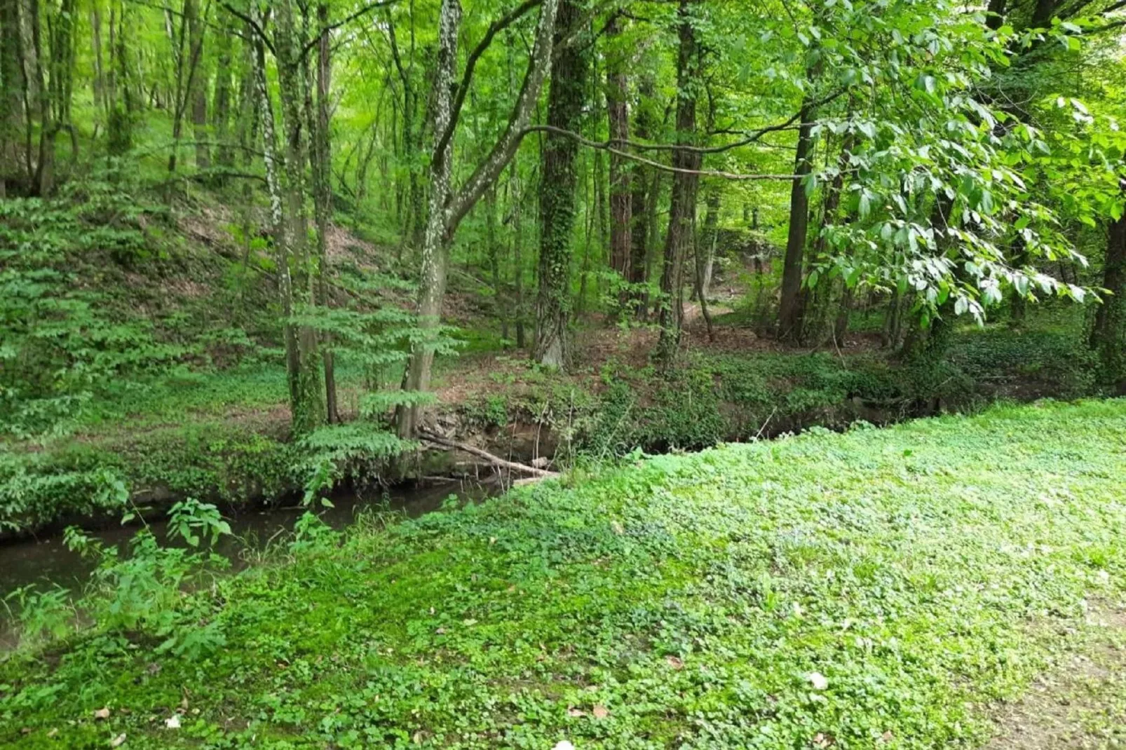 Domaine Le Ry d'Ave-Gebieden zomer 1km