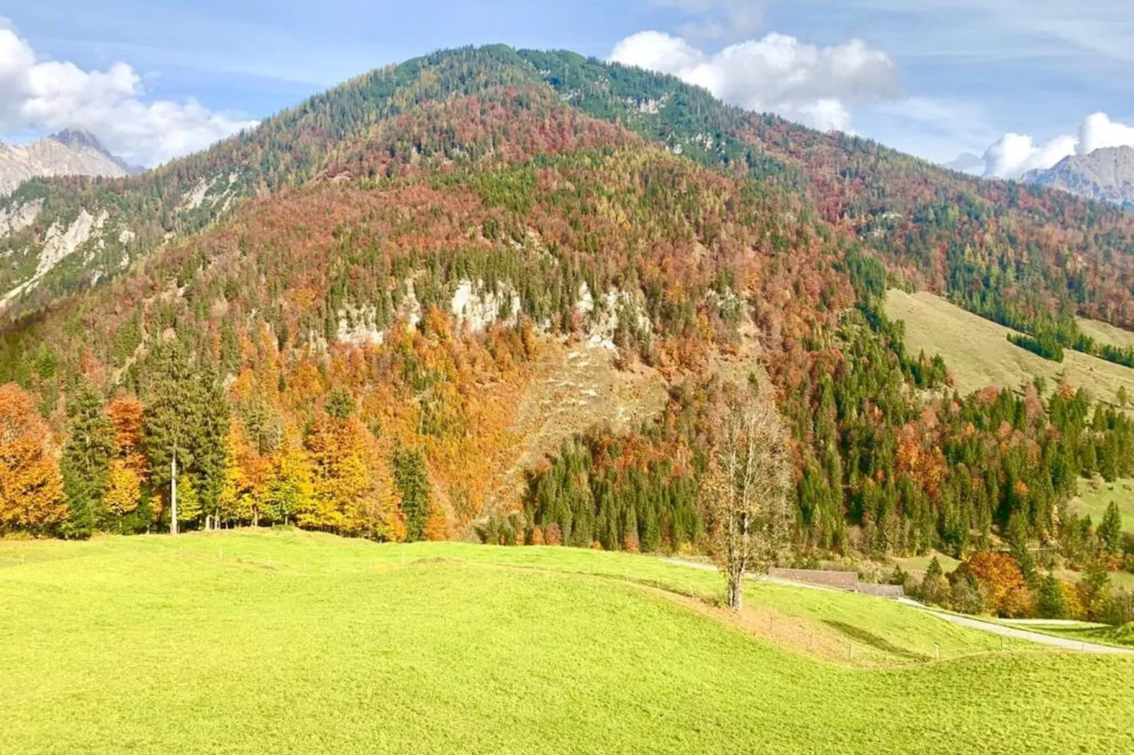 Bauernhaus Hochfilzen-Uitzicht zomer