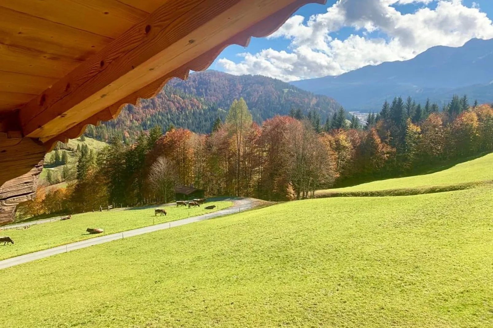 Bauernhaus Hochfilzen-Uitzicht zomer