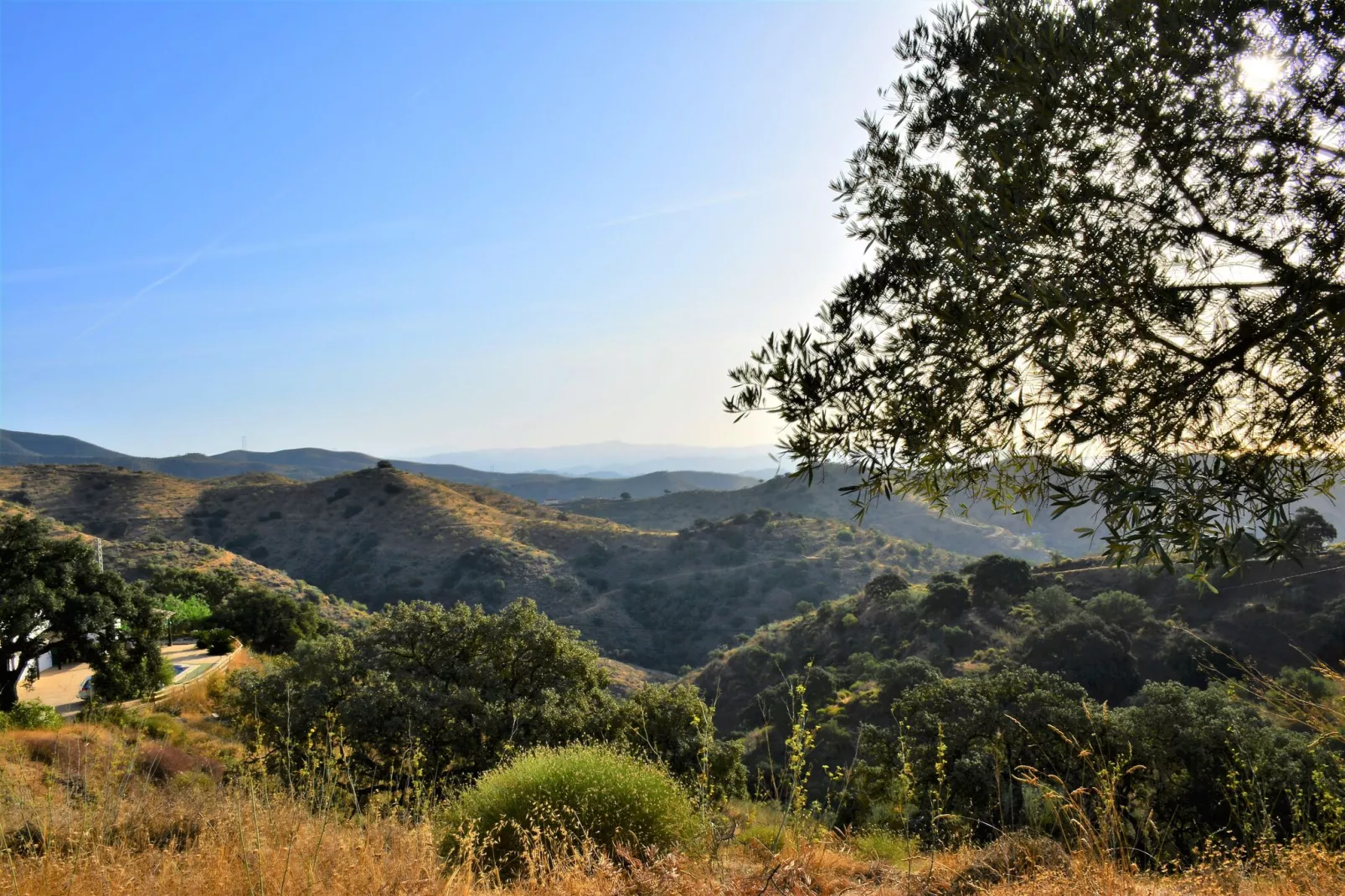 Villa Montes de Málaga-Gebieden zomer 1km