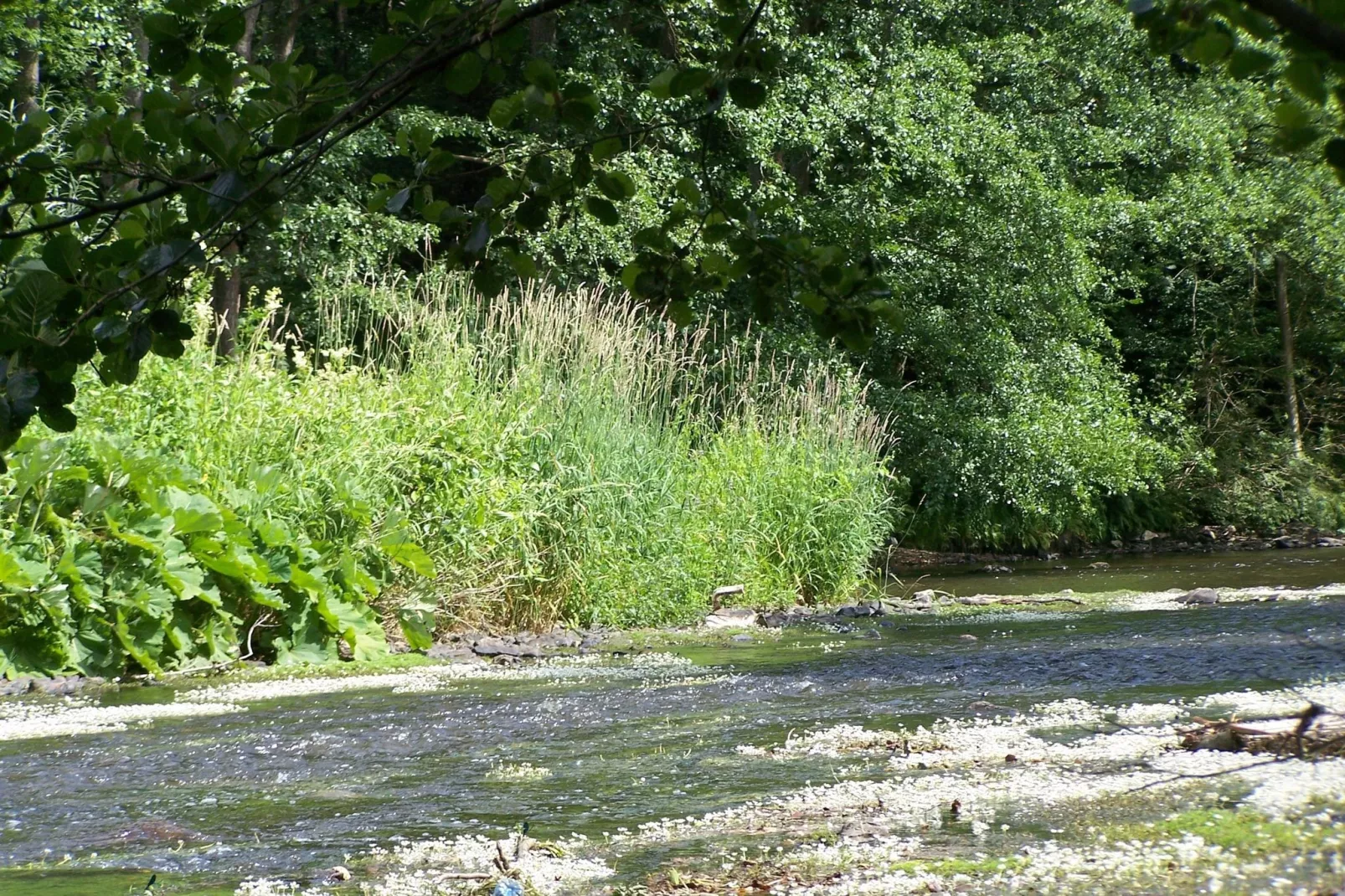 Au Pré Fleuri-Gebieden zomer 1km