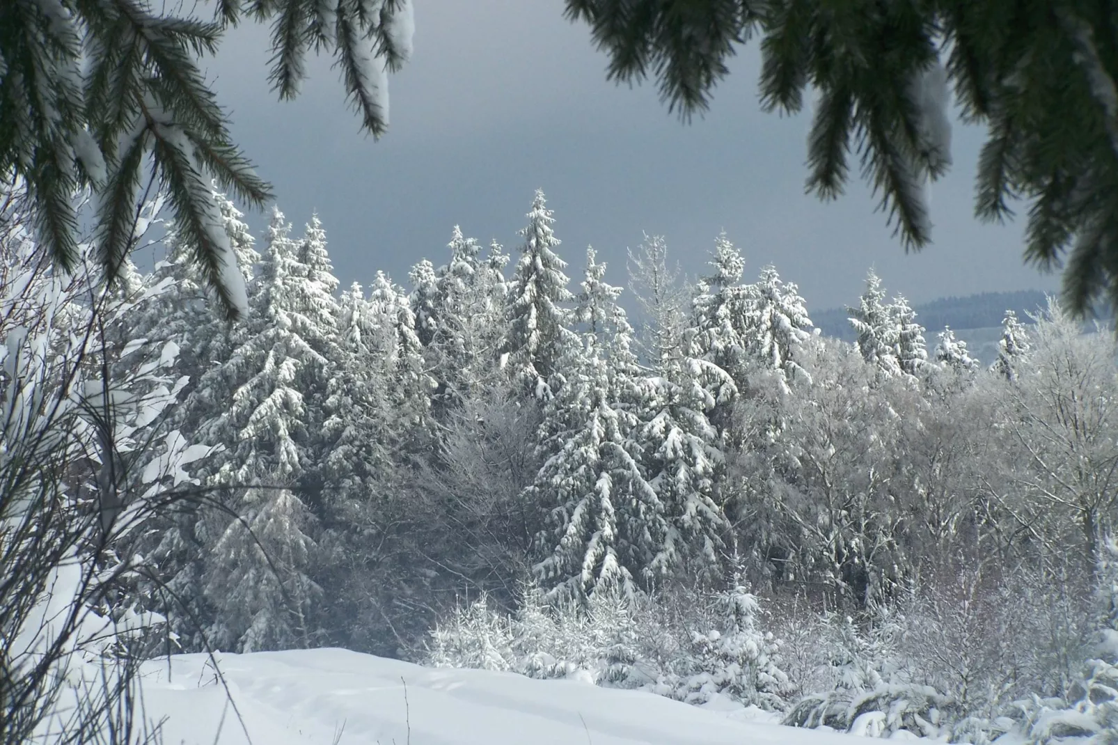 Au Pré Fleuri-Gebied winter 5km