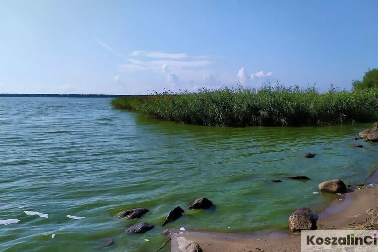 Domek letniskowy 50 m2 TYP A Osieki-Gebieden zomer 1km