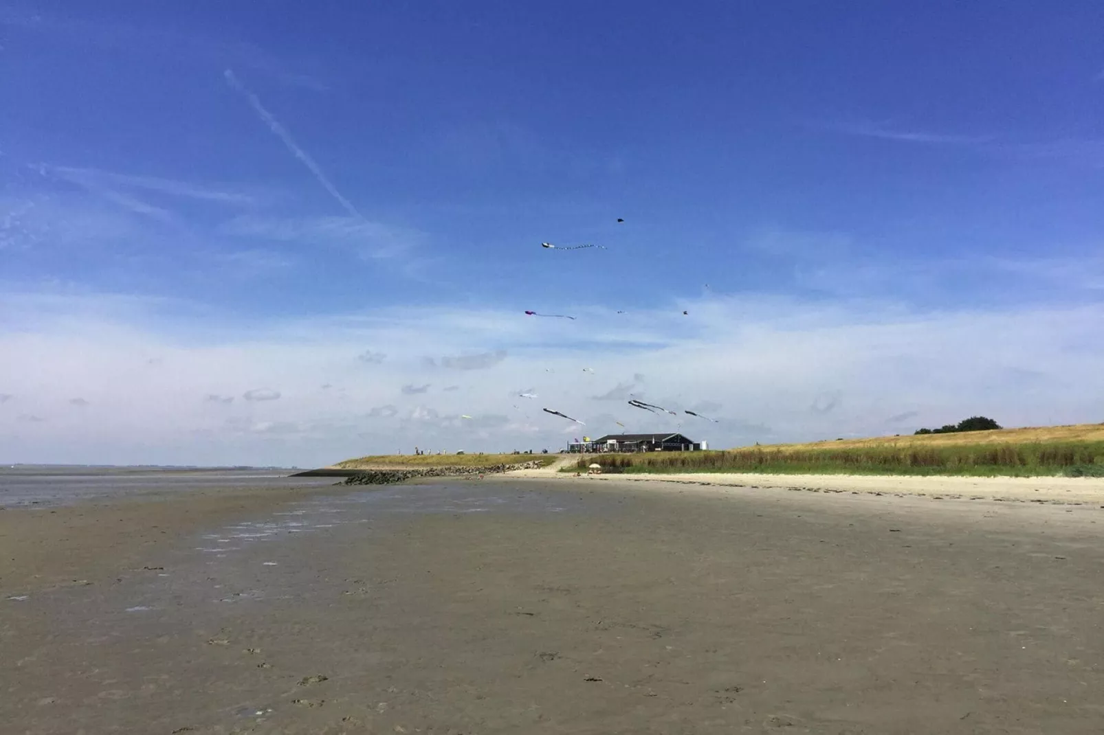 Vakantiehuis Baarland-Buitenkant zomer