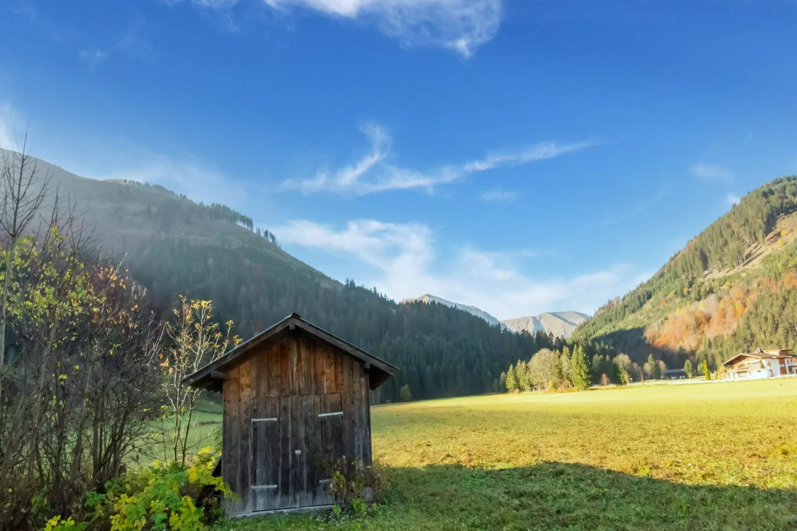 Haus Bergwald TOP 5-Gebieden zomer 5km