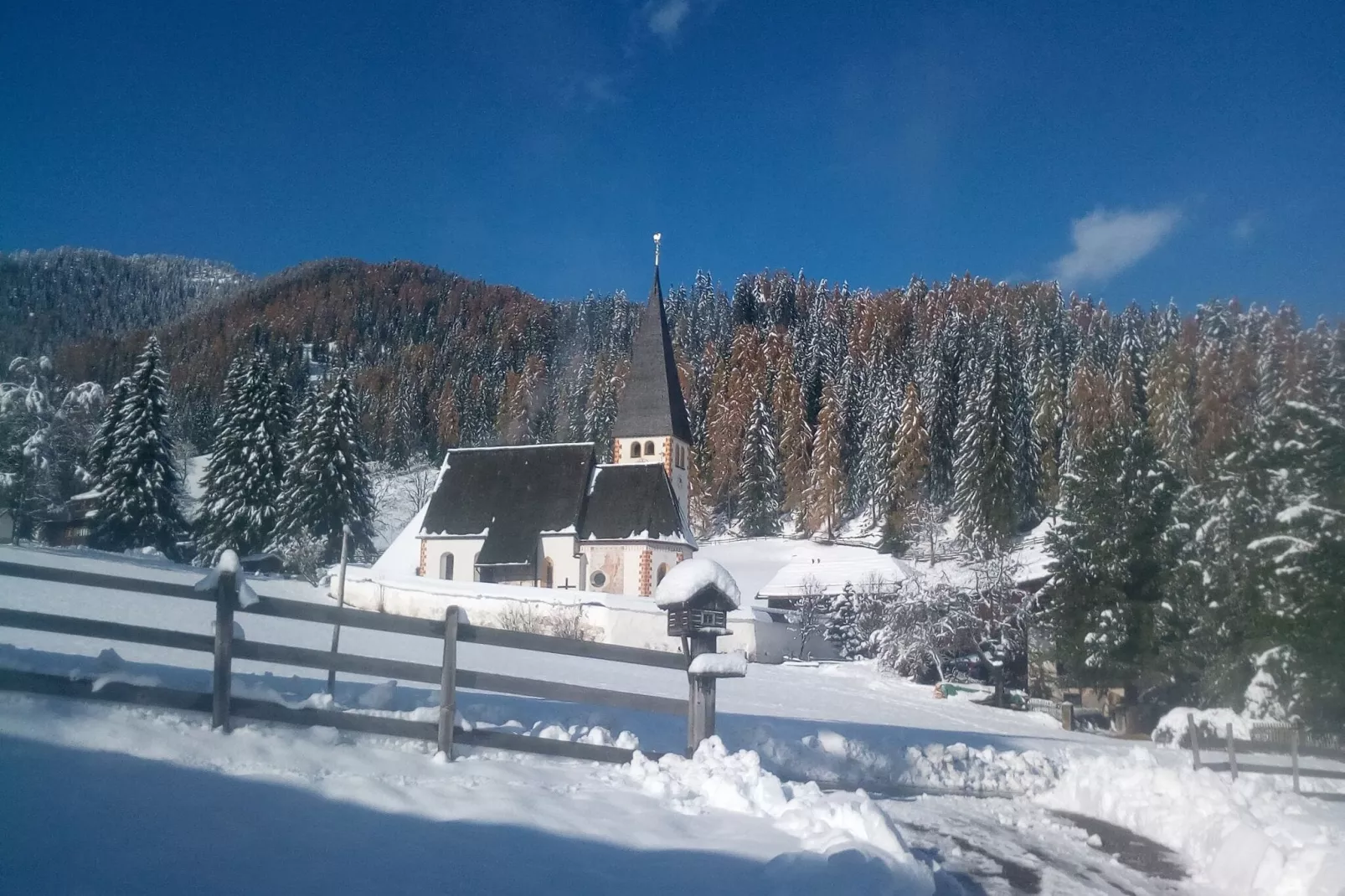 Pension Alte Schule-Gebied winter 1km