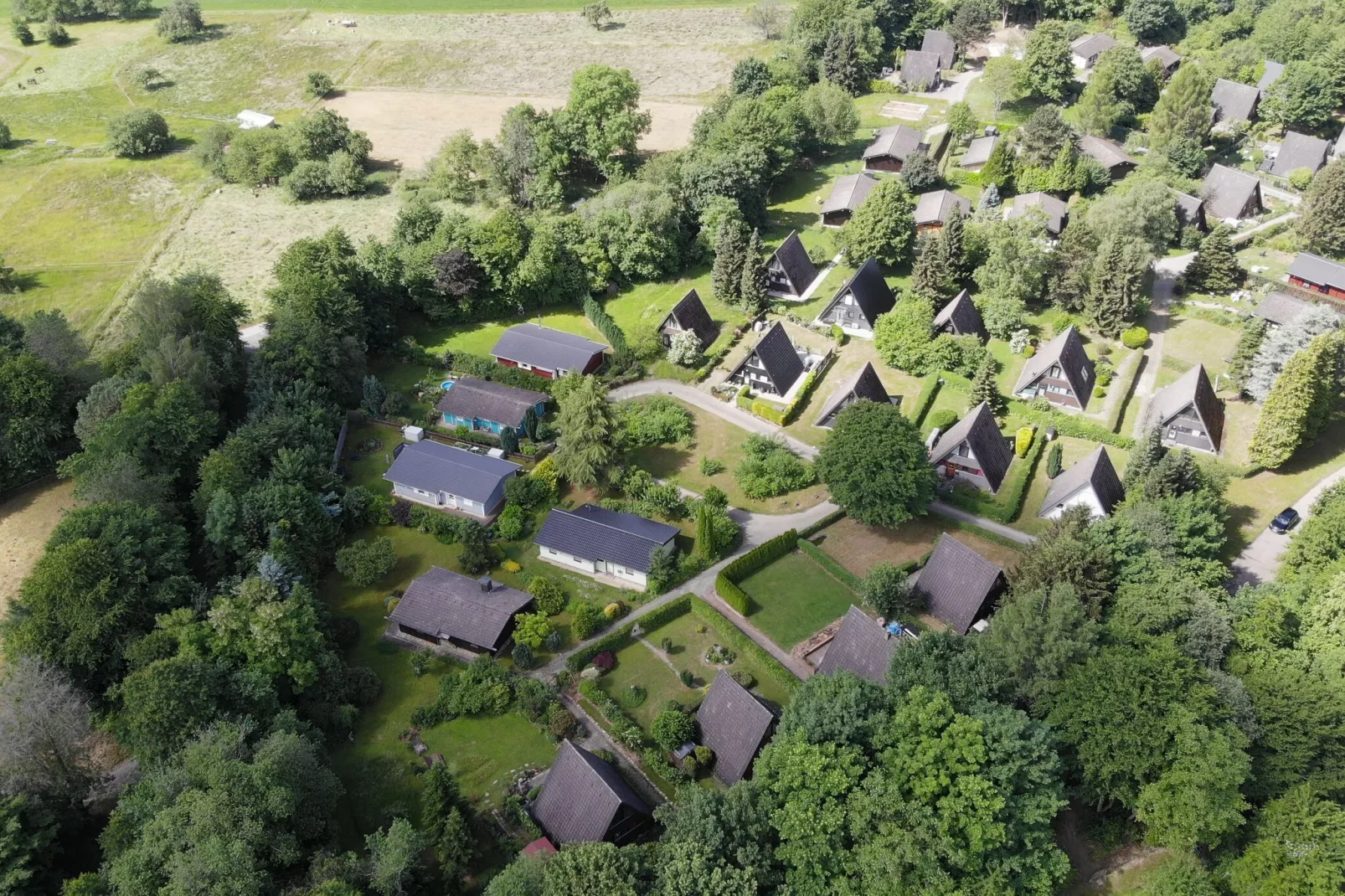 Feriendorf Waldbrunn 2-Gebieden zomer 1km