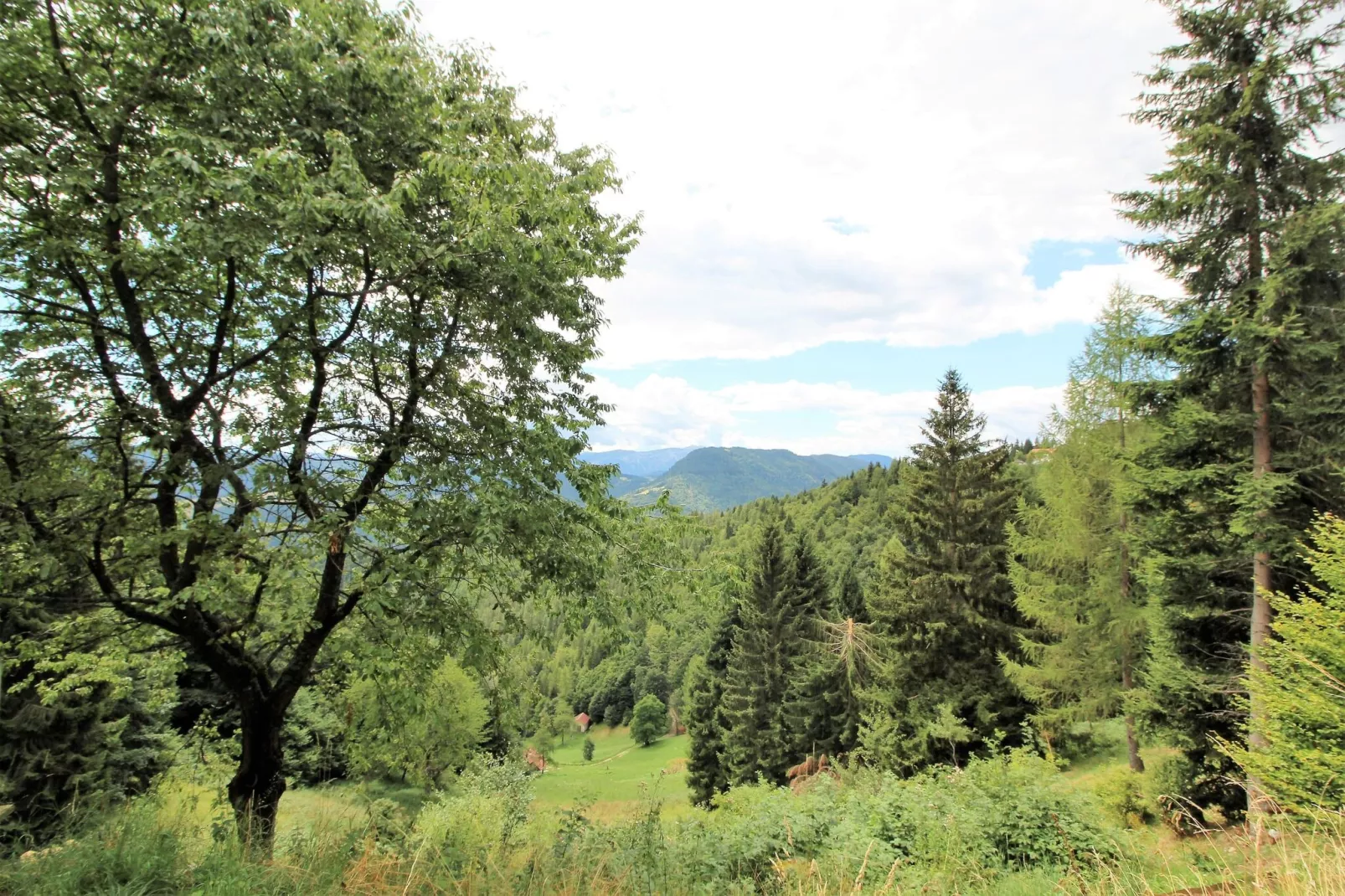 Chalet Noemi-Uitzicht zomer