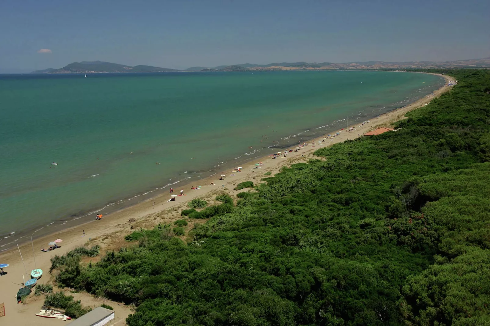 Saline-Gebieden zomer 1km