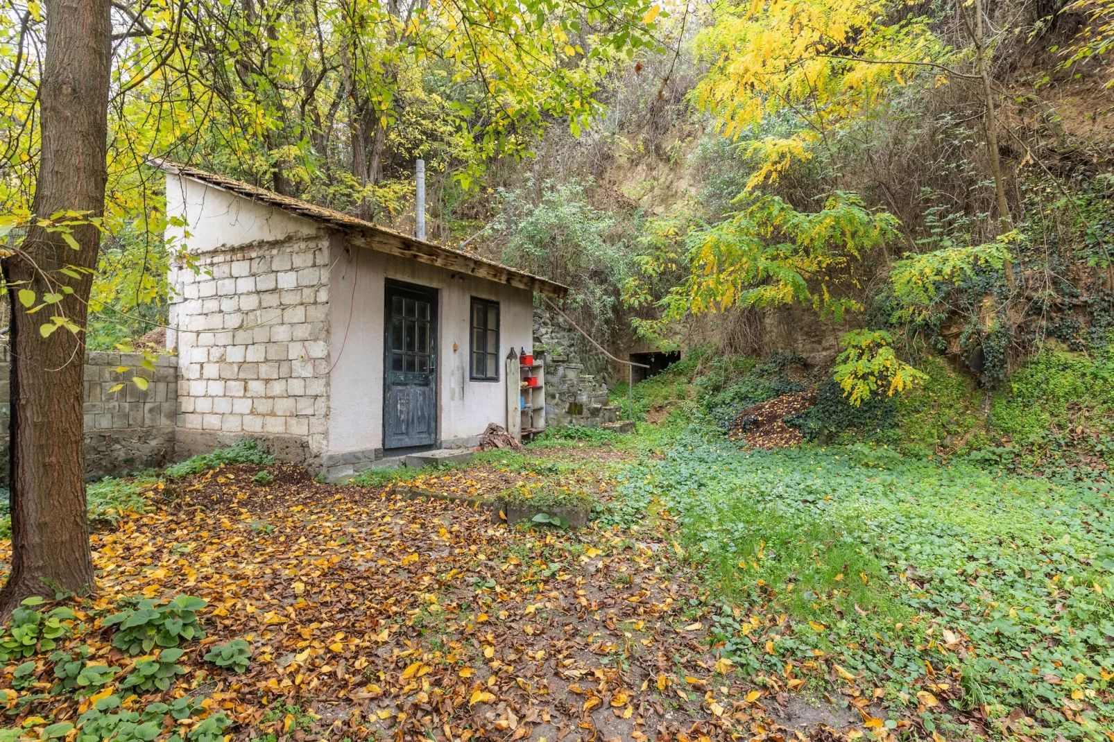 Vakantiewoning Landzicht Hungary-Tuinen zomer