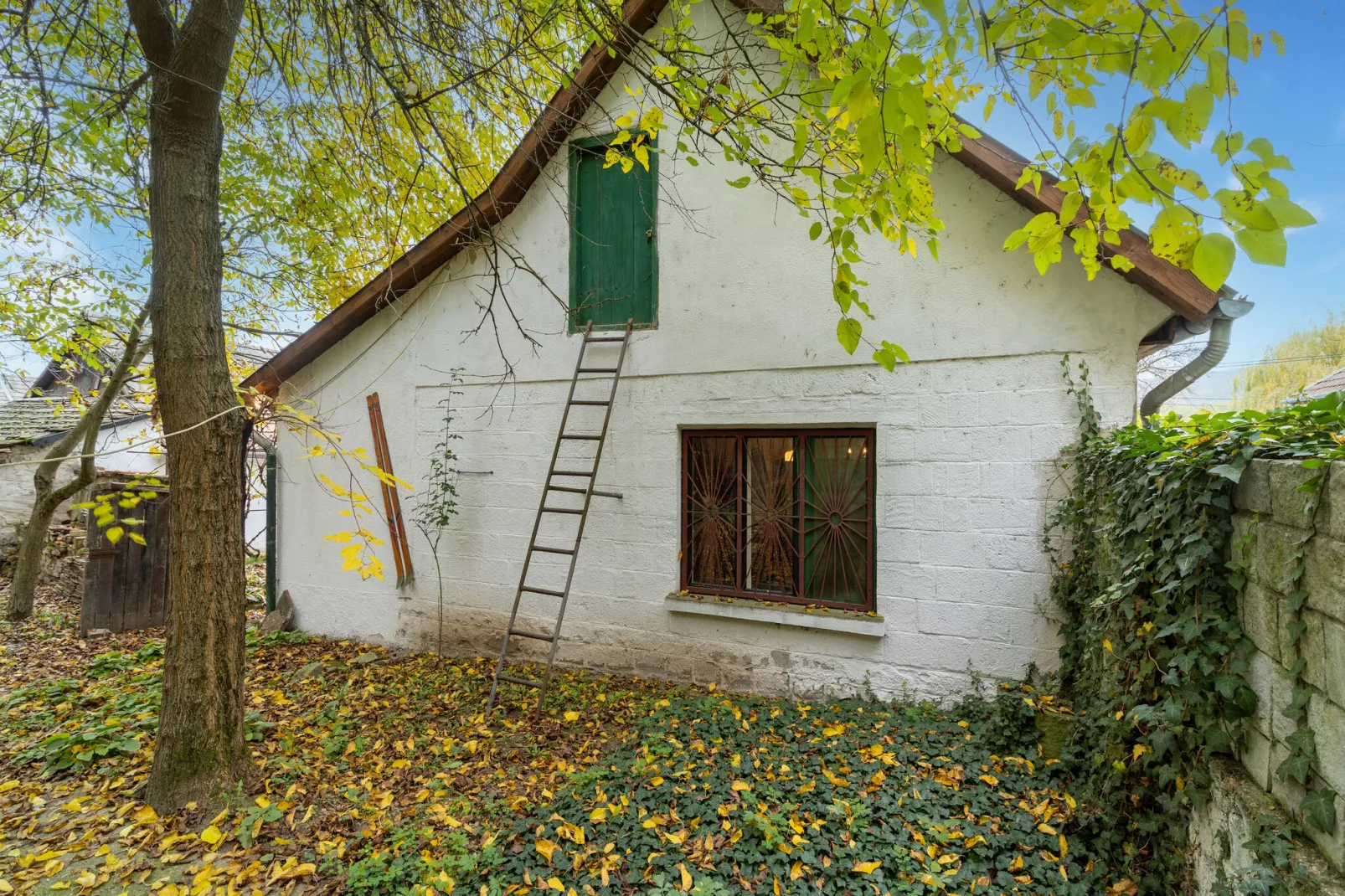 Vakantiewoning Landzicht Hungary-Tuinen zomer