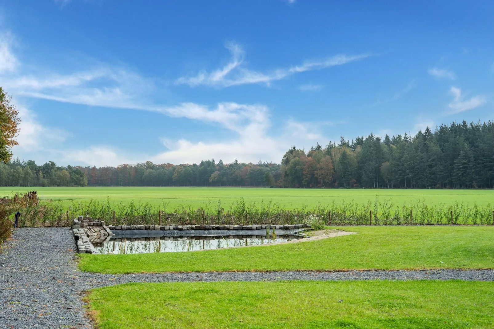 NR 5-Uitzicht zomer