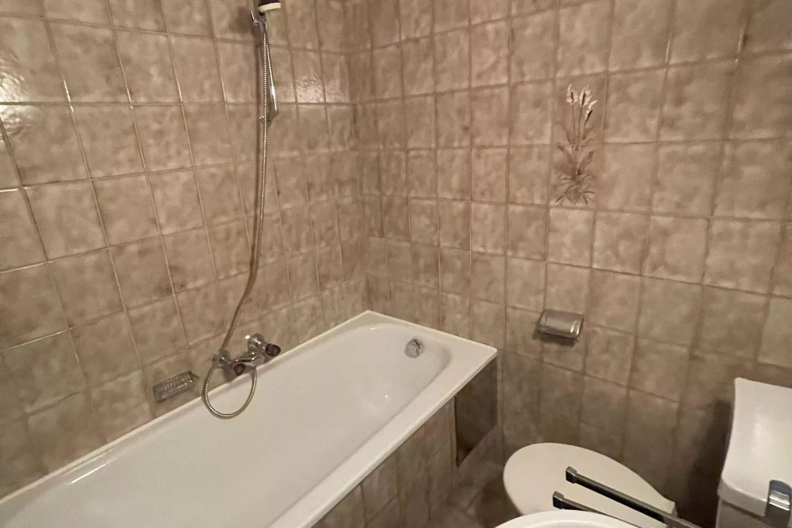 Lechner Edelweiss-Badkamer