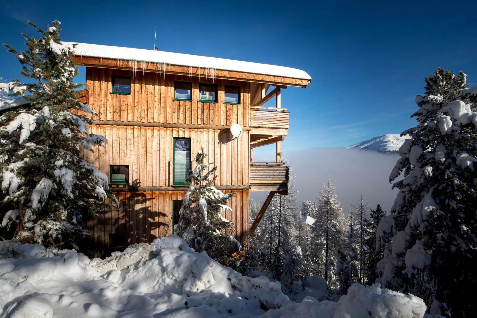 Alpenpark Turrach Chalets 2-Exterieur winter