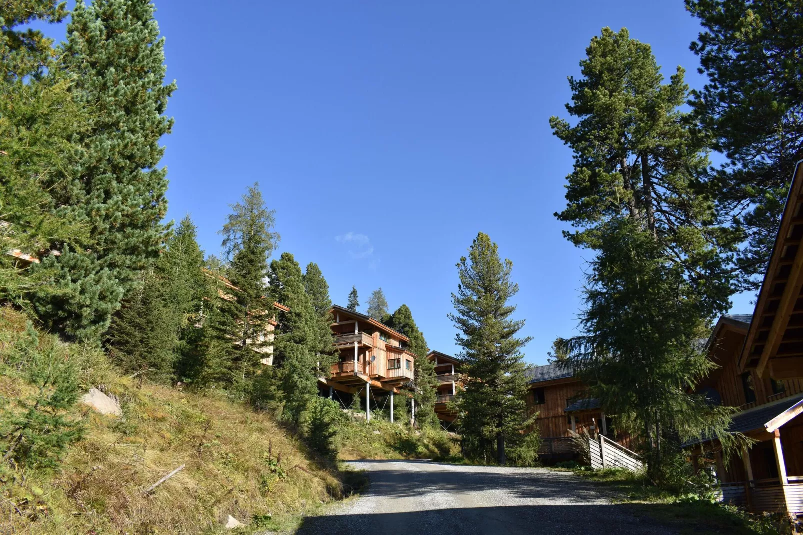 Alpenpark Turrach Chalets 2-Buitenkant zomer