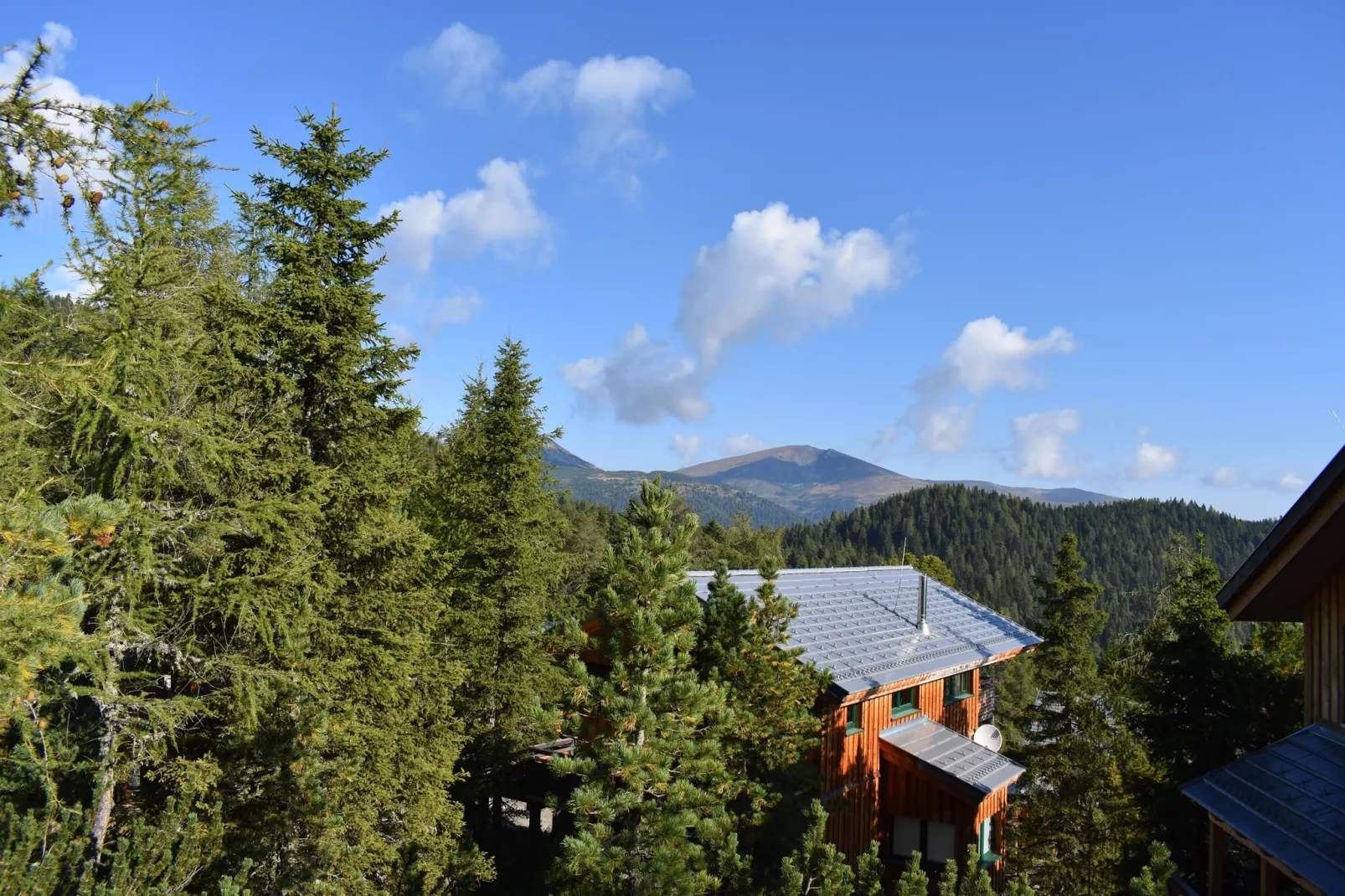 Alpenpark Turrach Chalets 2-Buitenkant zomer