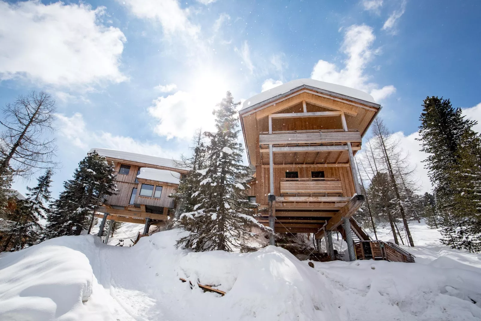 Alpenpark Turrach Chalets 4-Exterieur winter