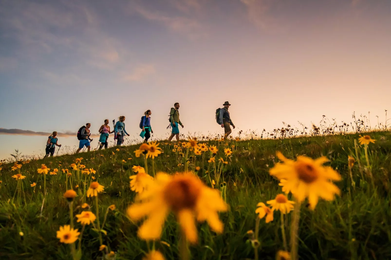 Alpenpark Turrach 14-Gebieden zomer 5km