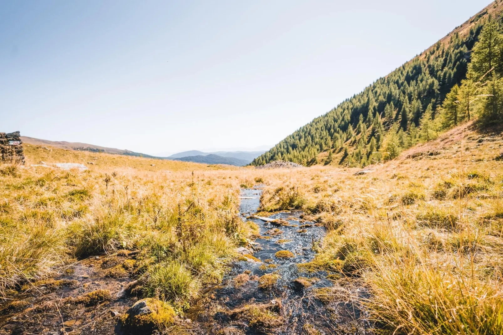 Alpenpark Turrach 5-Gebieden zomer 5km